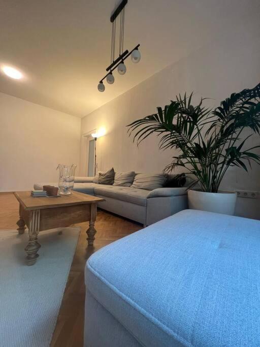 Ganzes Haus In Der Altstadt, Ideal Fuer 2 Personen, 4 Gaeste Moeglich Quakenbrück Dış mekan fotoğraf